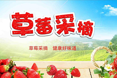 杨陵将举办首届草莓采摘节