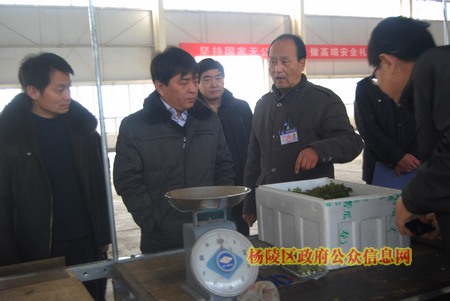我区开展箱装果菜安全生产联合大检查