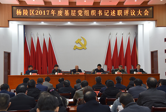 杨陵区召开2017年度基层党组织书记述职评议大会