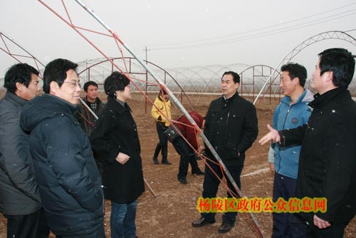 董胜利检查设施农业三期建设情况