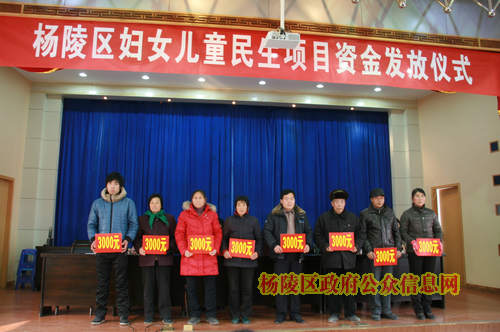 我区举行妇女儿童民生项目资金发放仪式