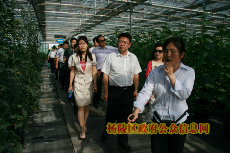 省青联代表来我区参观现代农业