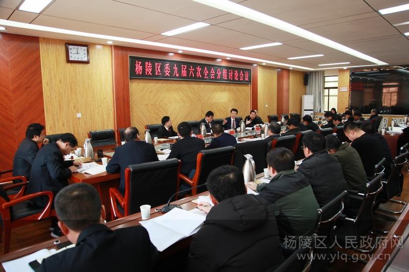 杨陵区委九届六次全会分组讨论气氛热烈