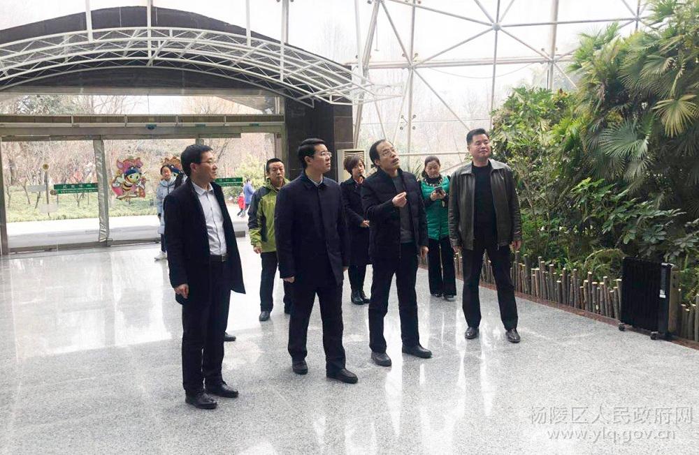 单舒平带队调研春节期间我区文化旅游业经营情况