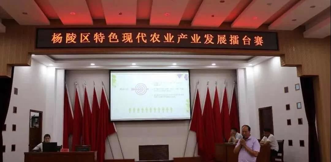 拼干劲！比实效！话振兴！杨凌18个集体经济“打擂”PK致富经