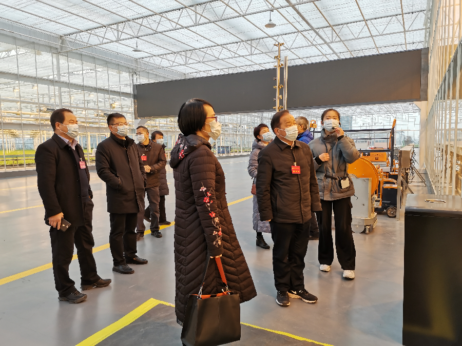区政协召开九届二十次常委（扩大）会议
