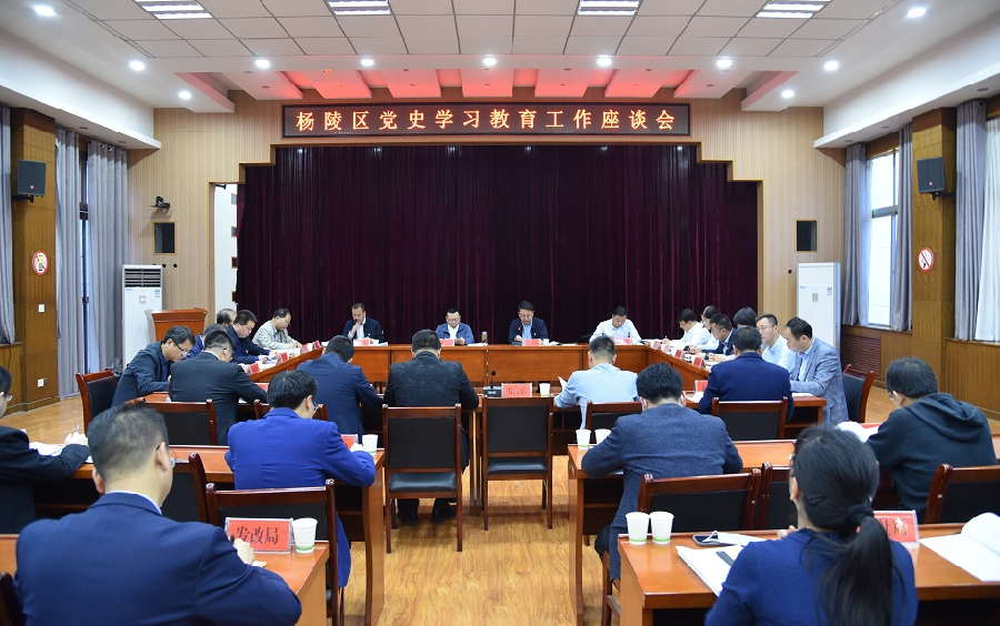 杨陵区召开党史学习教育工作座谈会