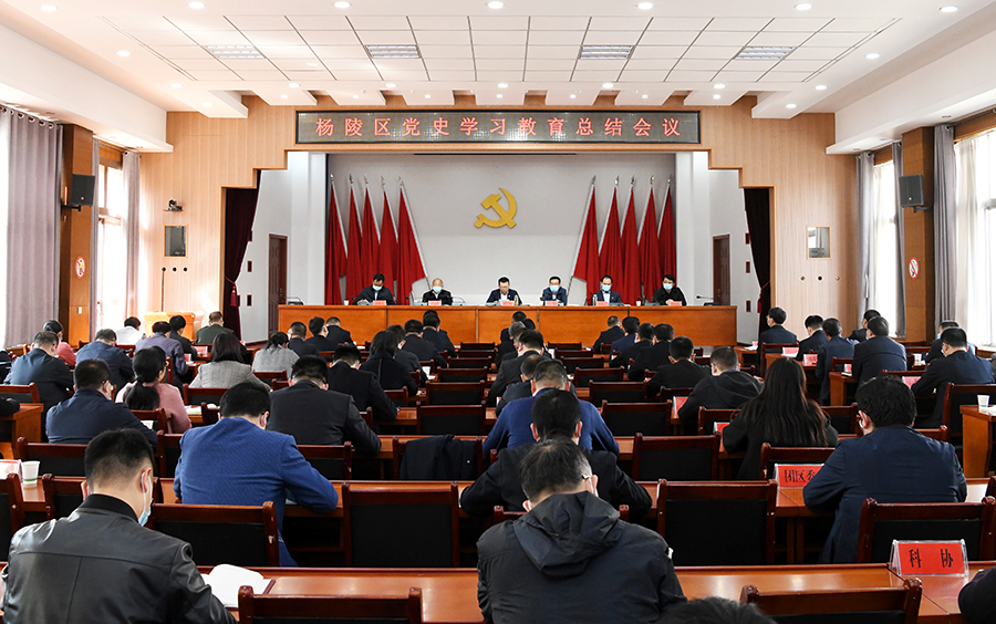 杨陵区召开党史学习教育总结会议