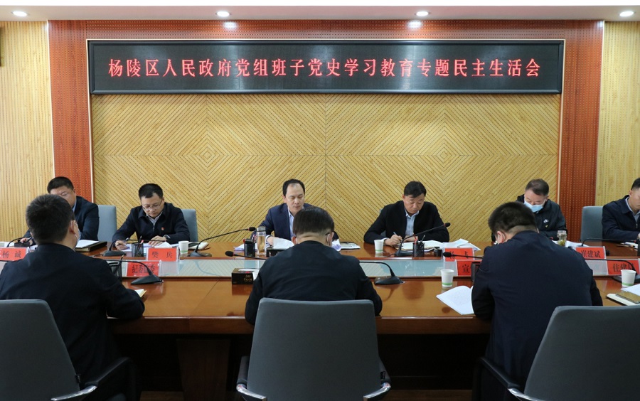 杨陵区政府党组班子召开党史学习教育专题民主生活会