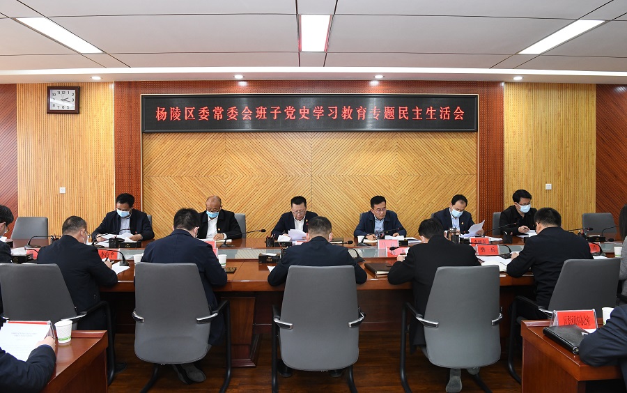杨陵区委常委班子召开党史学习教育专题民主生活会