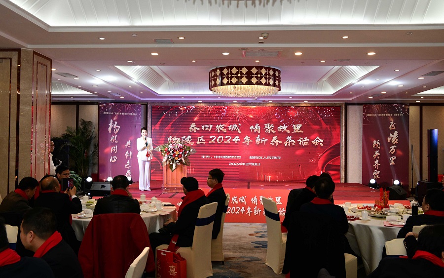 杨陵区“春回农城 情聚故里”新春茶话会成功举办
