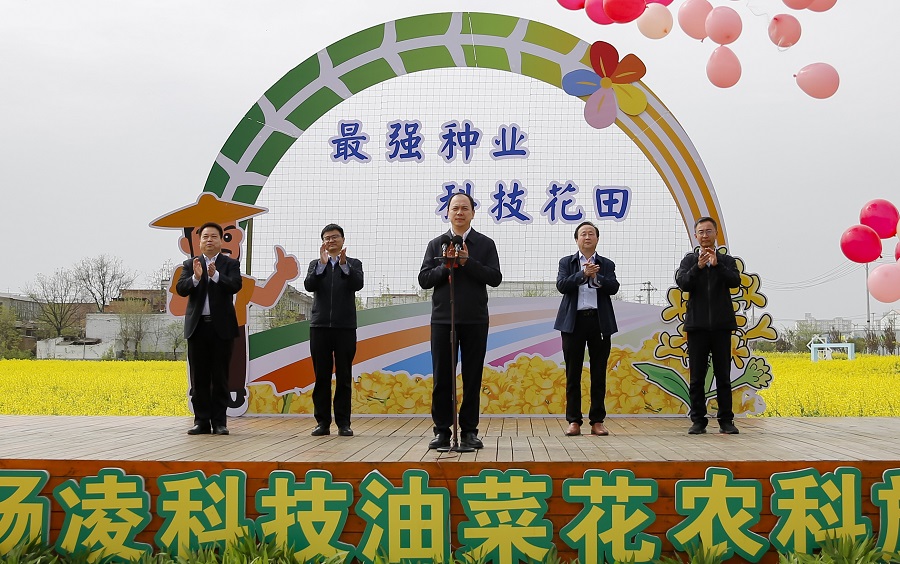 2024杨凌科技油菜花农科旅游季系列活动启动