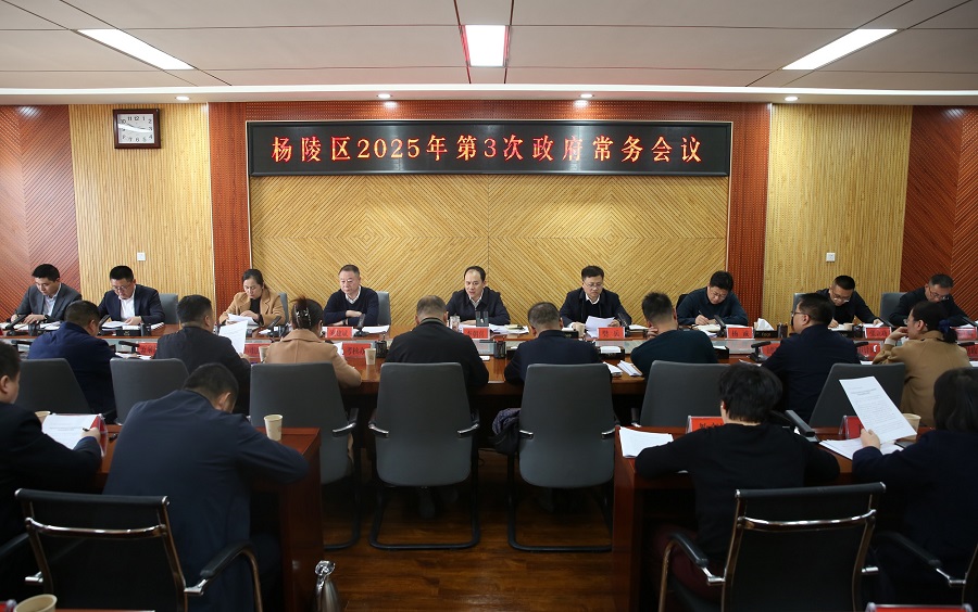 李朝喜主持召开区政府2025年第3次常务会议