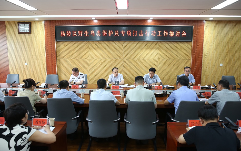 杨陵区召开野生鸟类保护及专项打击行动工作推进会