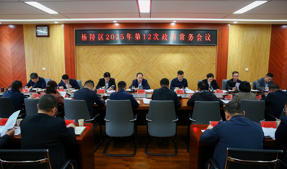 李朝喜主持召开区政府2025年第12次常务会议