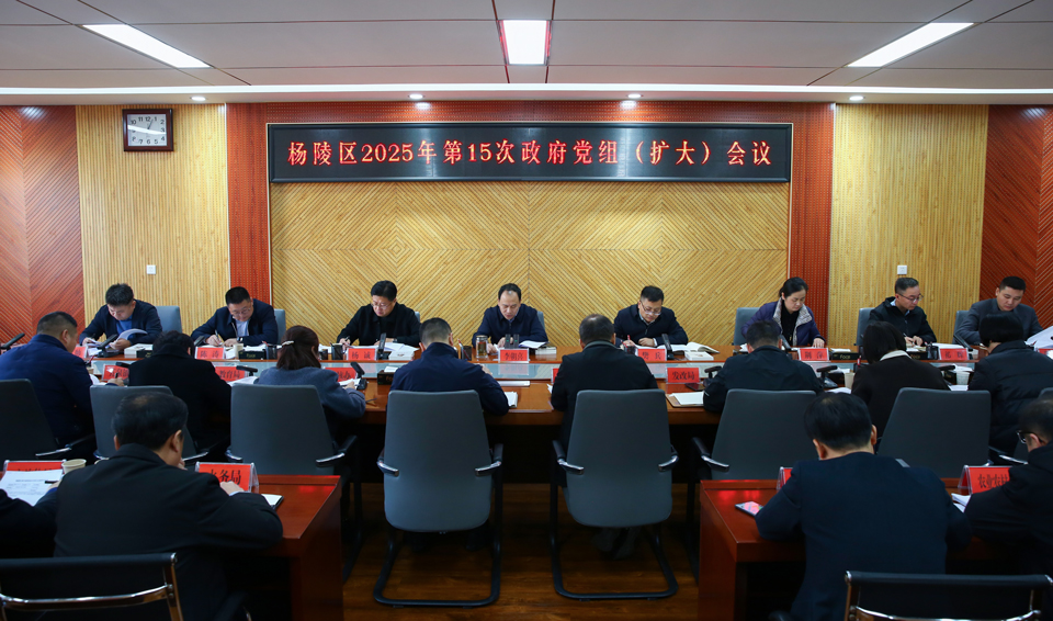 李朝喜主持召开区政府2025年第15次党组（扩大）会议